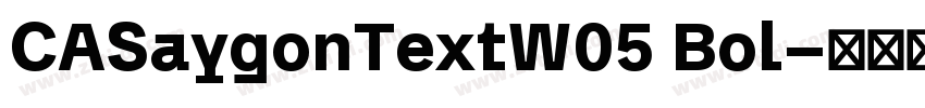 CASaygonTextW05 Bol字体转换